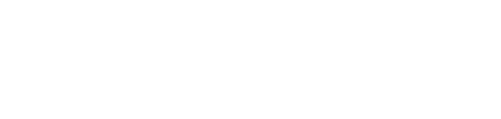 Met Boston Logo